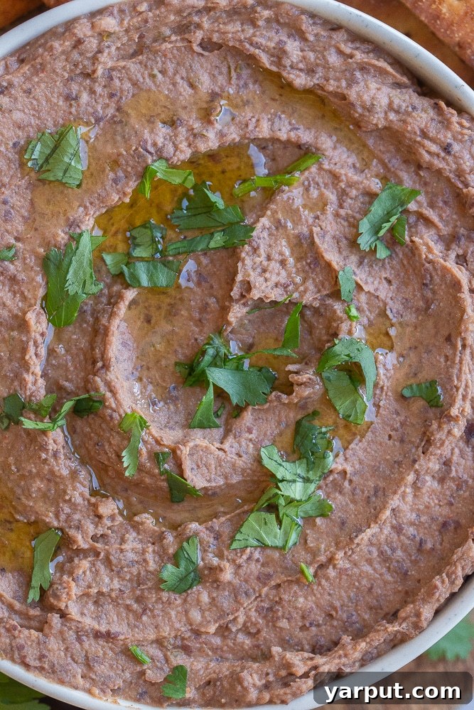 Smoky Black Bean Dip and Crispy Spiced Pita 6 A close-up view of a bowl of rich, creamy black bean dip, garnished lightly, showcasing its appealing texture and dark color.