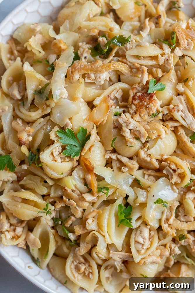 Savory Cabbage and Tofu Noodle Stir-Fry 6 Close-up of a serving of fried cabbage and noodles with tofu, topped with a generous sprinkle of fresh herbs.