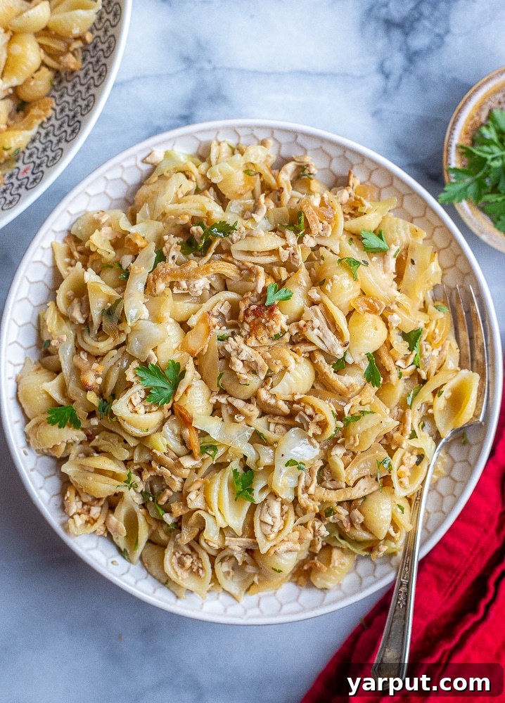 Wholesome Plant-Based Eating for Week 33 3 A hearty bowl of fried cabbage with noodles and tofu, garnished with fresh herbs.