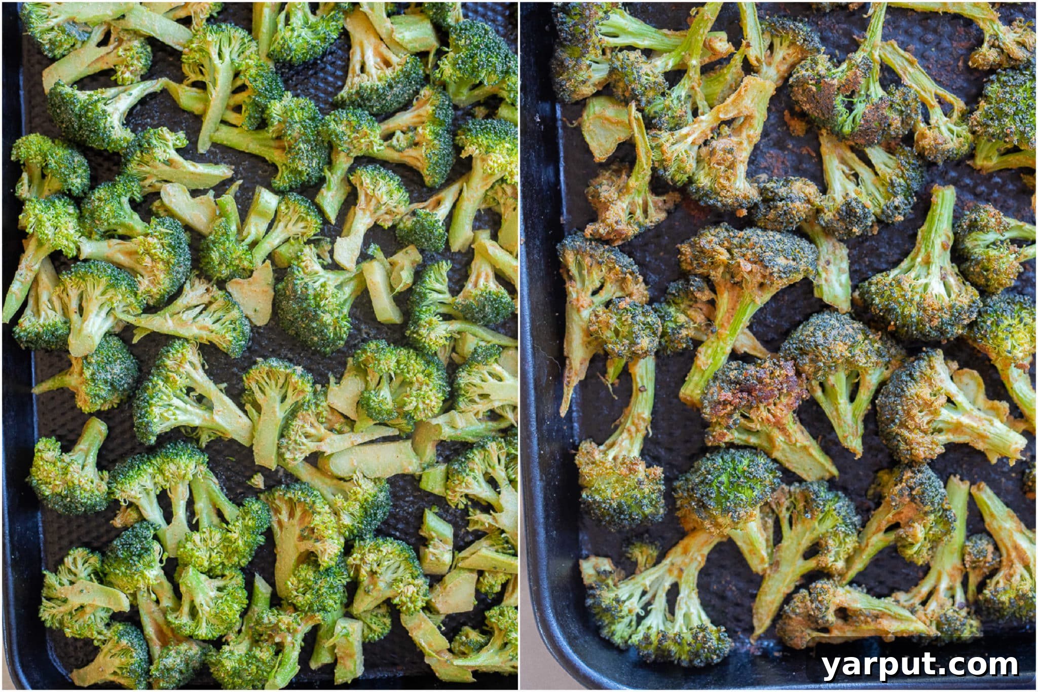 Crispy tahini-coated broccoli florets spread in a single layer on a large baking sheet, ready for roasting, and then a similar sheet pan after being roasted to perfection.