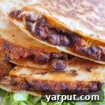 BBQ Black Bean Quesadillas with a fresh green garnish.
