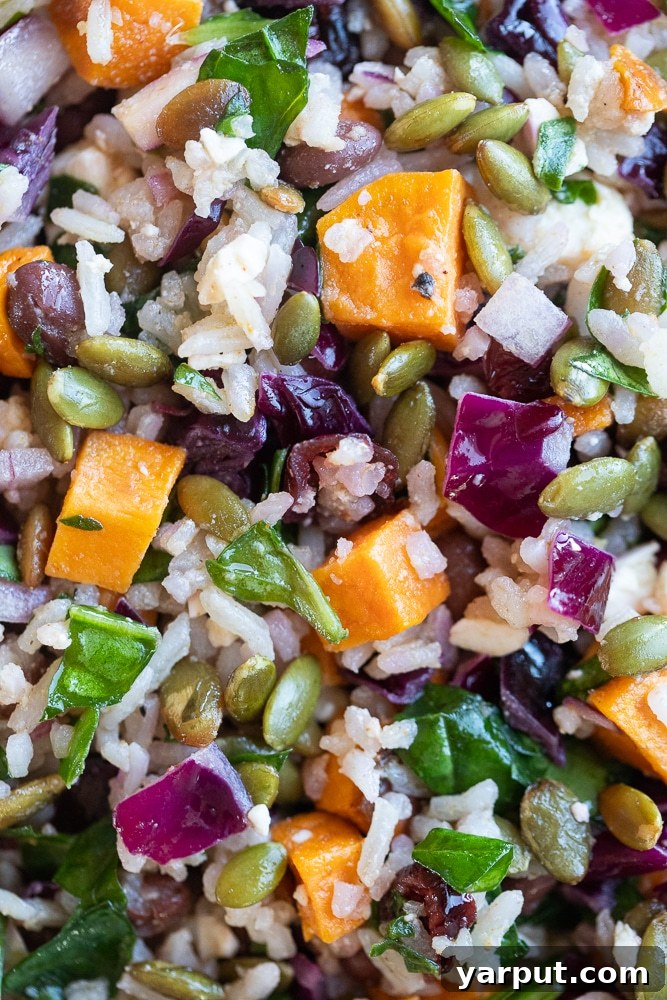 Spooky Rice and Veggie Medley 5 close up of this festive halloween themed veggie salad with rice and sweet potato