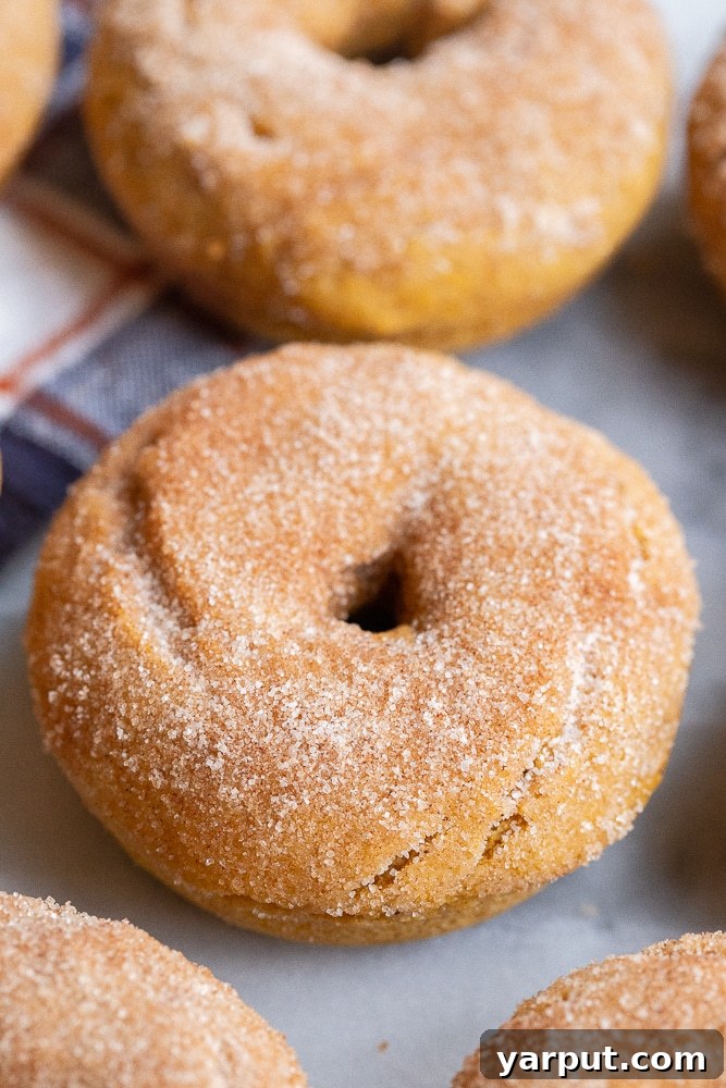 A close-up view of a single baked gluten-free pumpkin donut, showing its fluffy texture and generous cinnamon-sugar topping.