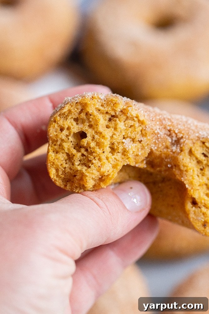 A close-up shot revealing the soft, moist interior of a gluten-free pumpkin donut, showcasing its perfect crumb.