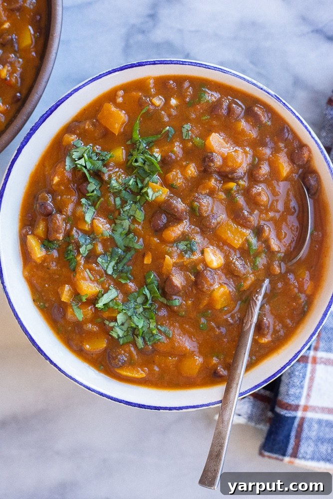 Wholesome Plant-Based Eats for Week 38 3 A steaming bowl of Vegetarian Pumpkin Chili with Black Beans, garnished with fresh cilantro and served with tortilla chips.