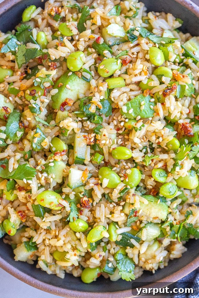 Refreshing Cucumber Edamame Rice Salad 5 close up of a bowl of cucumber edamame rice salad with avocado