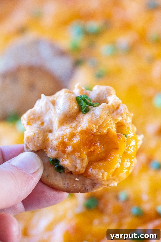 Ultimate Plant-Based Buffalo Chickpea Dip 8 A close-up shot of a single cracker topped with a dollop of creamy buffalo chickpea dip, ready to be enjoyed.