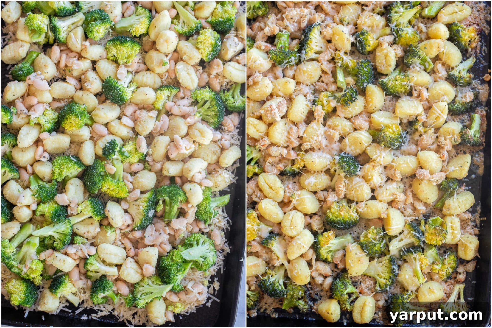 A side-by-side comparison image showing parmesan crusted gnocchi and broccoli both before and after it has been perfectly baked in the oven, highlighting the crispy transformation.