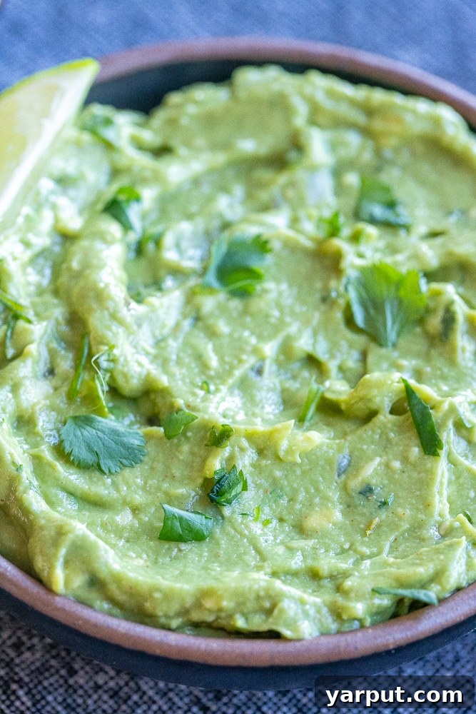 My Go-To Guac Perfection 5 close up of a bowl of easy guacamole topped with cilantro