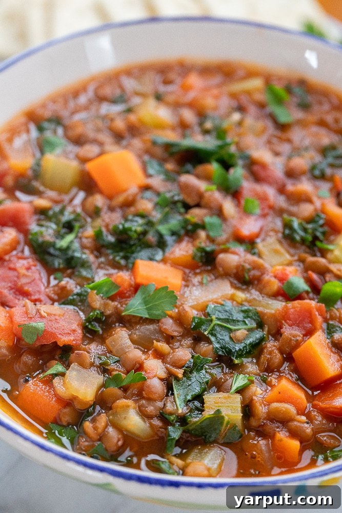 Speedy Plant-Based Lentil Soup 6 A close-up of a rustic bowl filled with rich vegan lentil soup and mixed vegetables, highlighting its wholesome ingredients.