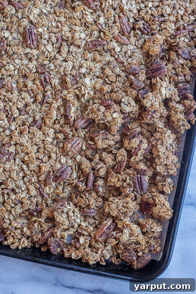 Golden Maple Pecan Granola 5 Large, golden clusters of homemade maple pecan granola cooling on a parchment-lined sheet pan, ready to be broken apart.