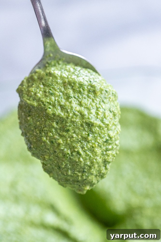 Mediterranean Feta & Spinach Pesto 5 A close-up shot of a spoonful of vibrant, creamy spinach feta basil pesto sauce, highlighting its rich texture and color.
