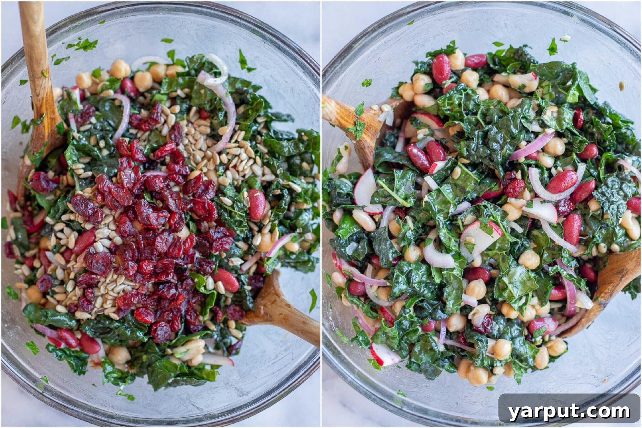 Vibrant Bean and Green Salad 4 A close-up of a vibrant greens and beans inspired salad, perfectly mixed with dried cranberries and toasted sunflower seeds.