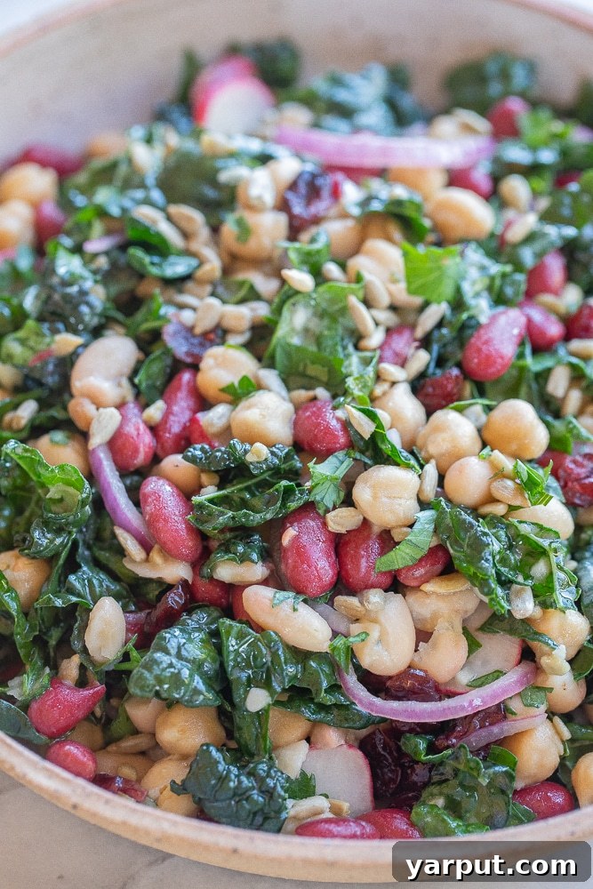 Vibrant Bean and Green Salad 5 A close-up view of the hearty Beans and Greens Salad, showing individual beans, vibrant greens, and thinly sliced red onion and radishes.