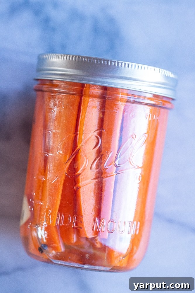 Freshly harvested carrots in various colors, showcasing their vibrant hues and earthy appeal.