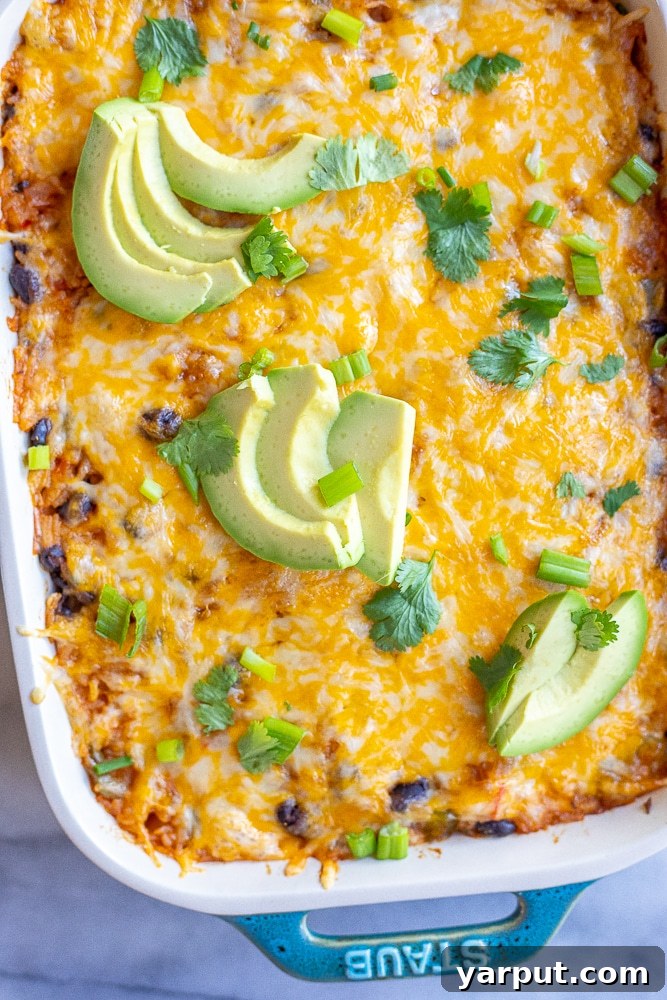 Plant-Powered Week Six Meal Guide 5 Hearty Vegetarian Fajita Rice Casserole with bell peppers and cheese