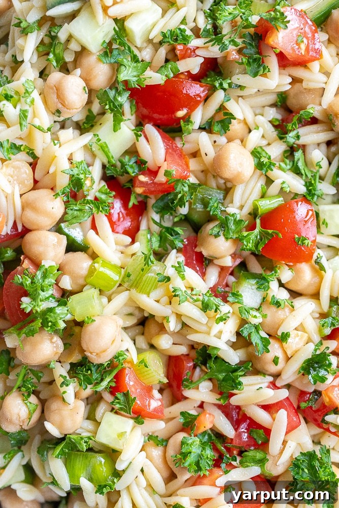 Vibrant Mediterranean Orzo & Chickpea Salad 5 A close-up shot of the finished Tabouli Inspired Orzo Salad, highlighting the individual orzo grains, plump chickpeas, and colorful flecks of herbs and vegetables.