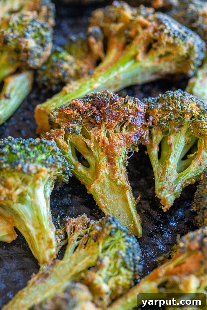 July's Fresh Picks 6 A head of fresh green broccoli florets.