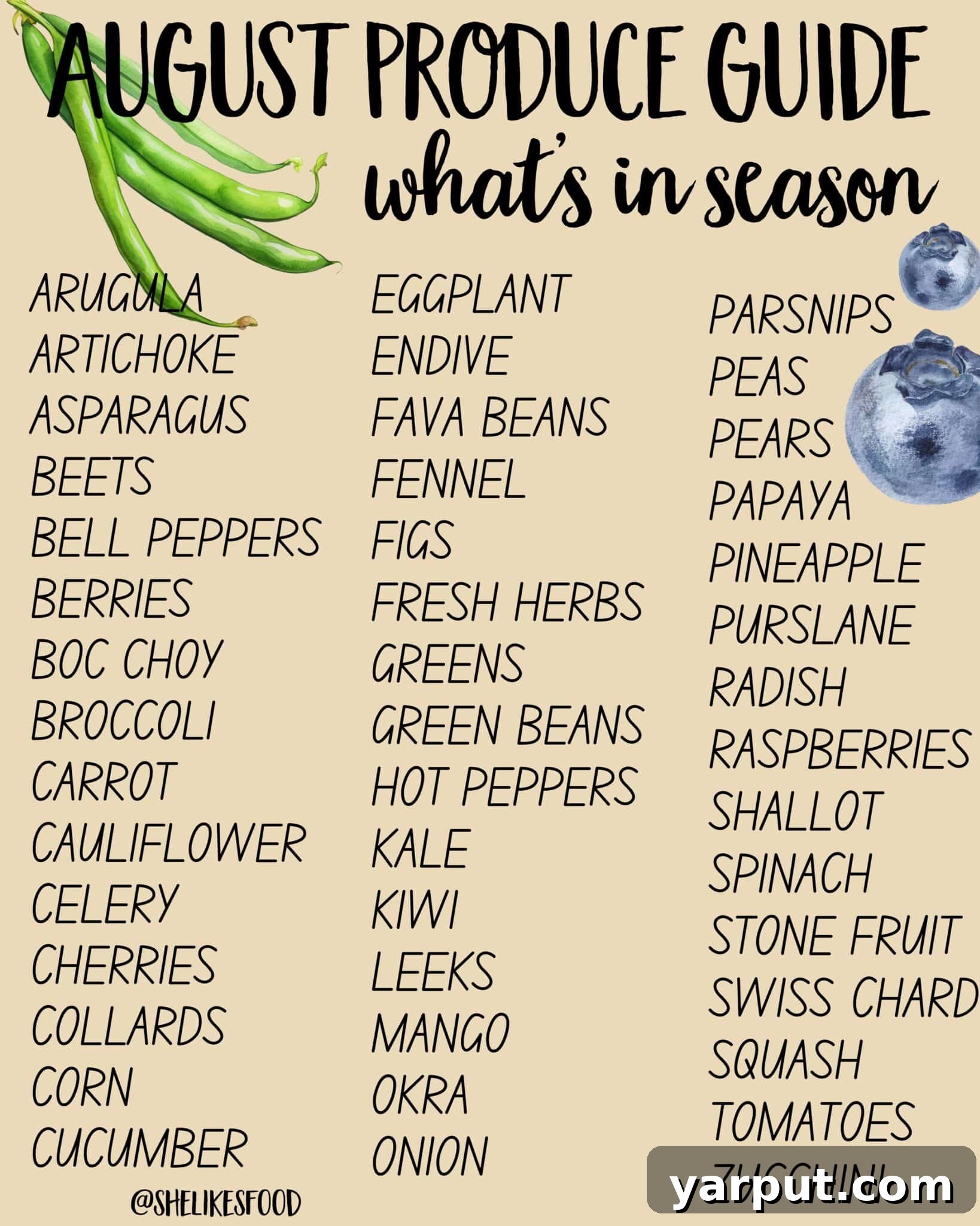 A vibrant collage of various August seasonal fruits and vegetables, including arugula, beets, bell peppers, broccoli, carrots, corn, cucumber, fresh herbs, green beans, kale, peas, radishes, tomatoes, and zucchini, artfully arranged to showcase the abundance of the late summer harvest.