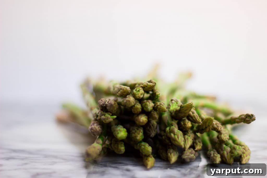 Creamy Lemon Dill Dijon Potato Salad with Grilled Asparagus and Corn 4 Grilled Asparagus for Salad