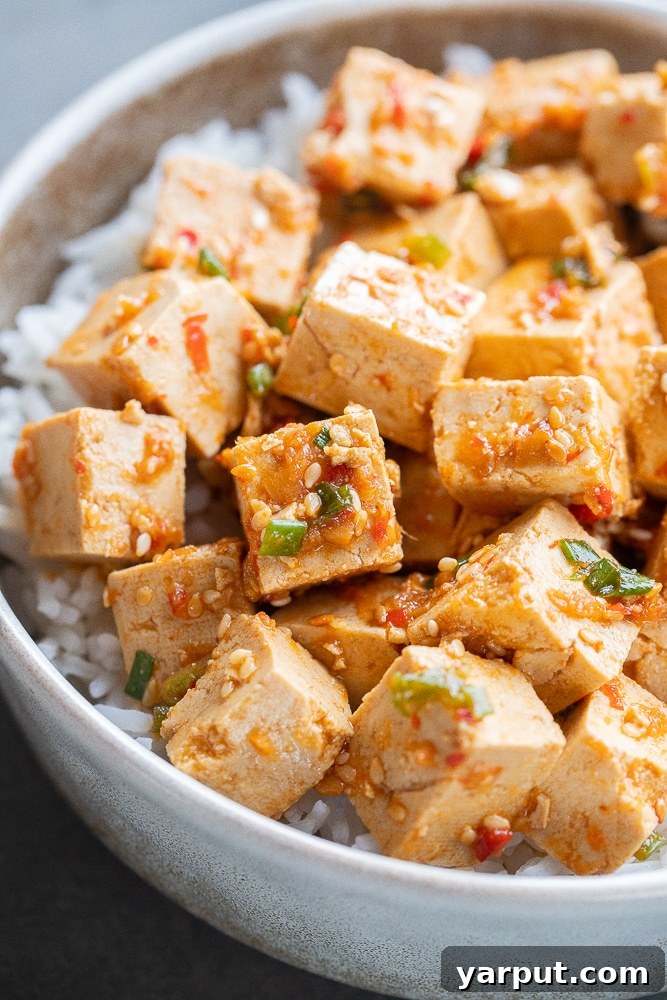 Close-up of perfectly marinated tofu cubes garnished with green onions and served with fluffy white rice, highlighting its delicious texture and vibrant color.