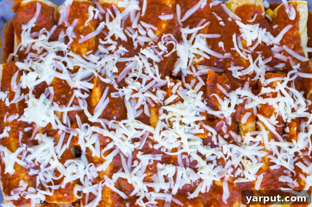 Vibrant Gluten-Free Quinoa and Black Bean Enchiladas with Green Chiles and Roasted Red Pepper Sauce 4 A pan full of cheesy Quinoa Black Bean Enchiladas, ready to serve