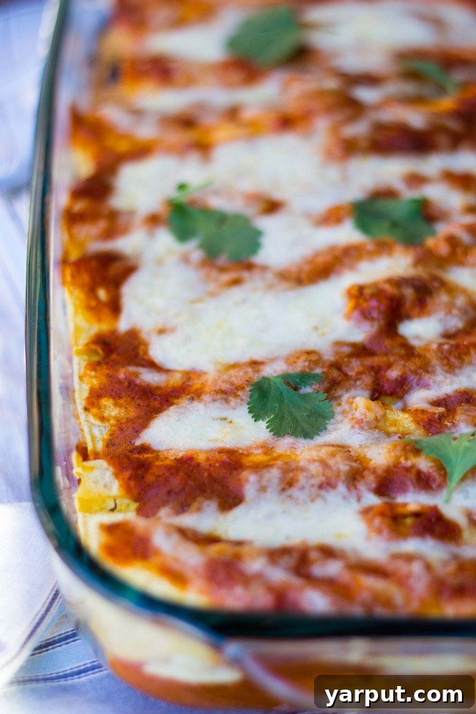Vibrant Gluten-Free Quinoa and Black Bean Enchiladas with Green Chiles and Roasted Red Pepper Sauce 6 Individual Quinoa Black Bean Enchilada, topped with cheese