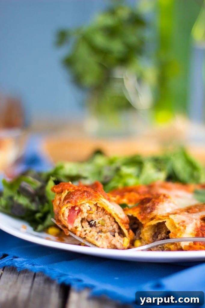 Vibrant Gluten-Free Quinoa and Black Bean Enchiladas with Green Chiles and Roasted Red Pepper Sauce 7 Two Quinoa Black Bean Enchiladas with a vibrant red pepper sauce