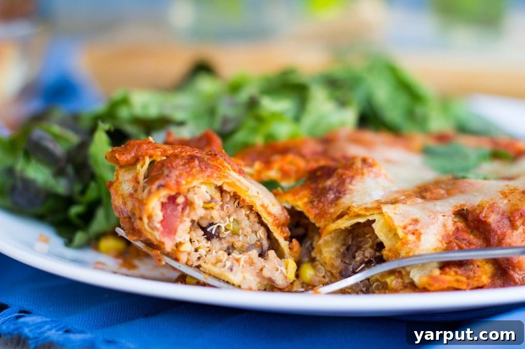 Vibrant Gluten-Free Quinoa and Black Bean Enchiladas with Green Chiles and Roasted Red Pepper Sauce 8 Overhead shot of Quinoa Black Bean & Green Chili Enchiladas in a baking dish