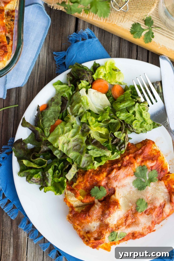 Vibrant Gluten-Free Quinoa and Black Bean Enchiladas with Green Chiles and Roasted Red Pepper Sauce 9 Scoop of Quinoa Black Bean & Green Chili Enchilada filling