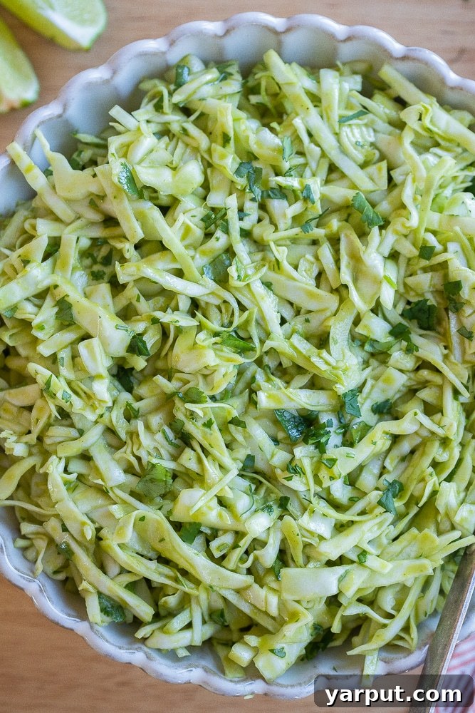 Zesty Cilantro-Lime Slaw 2 A vibrant bowl of Cilantro Lime Cabbage Salad ready for serving, showcasing shredded green cabbage and fresh herbs.