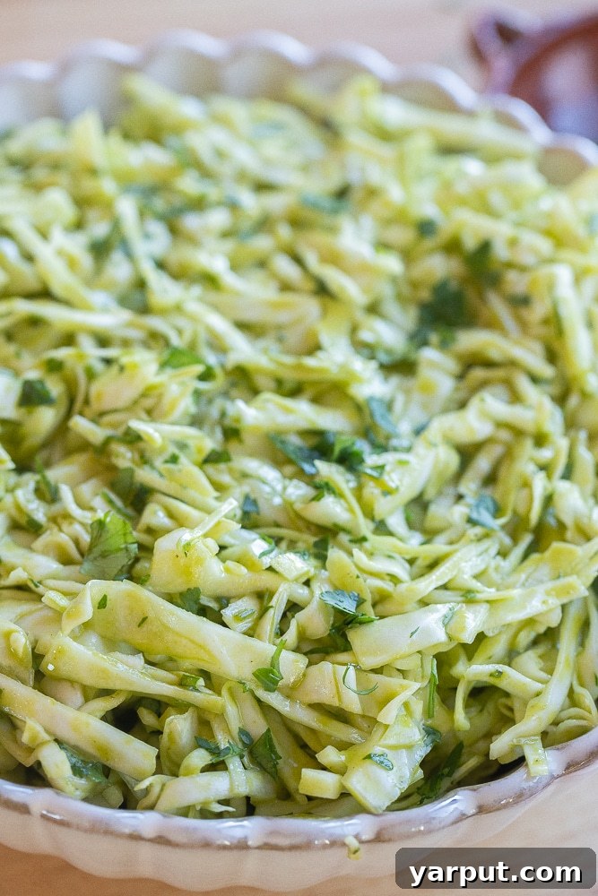 Zesty Cilantro-Lime Slaw 6 A close-up view of the finished Cilantro Lime Cabbage Salad in a serving bowl, highlighting its fresh ingredients.
