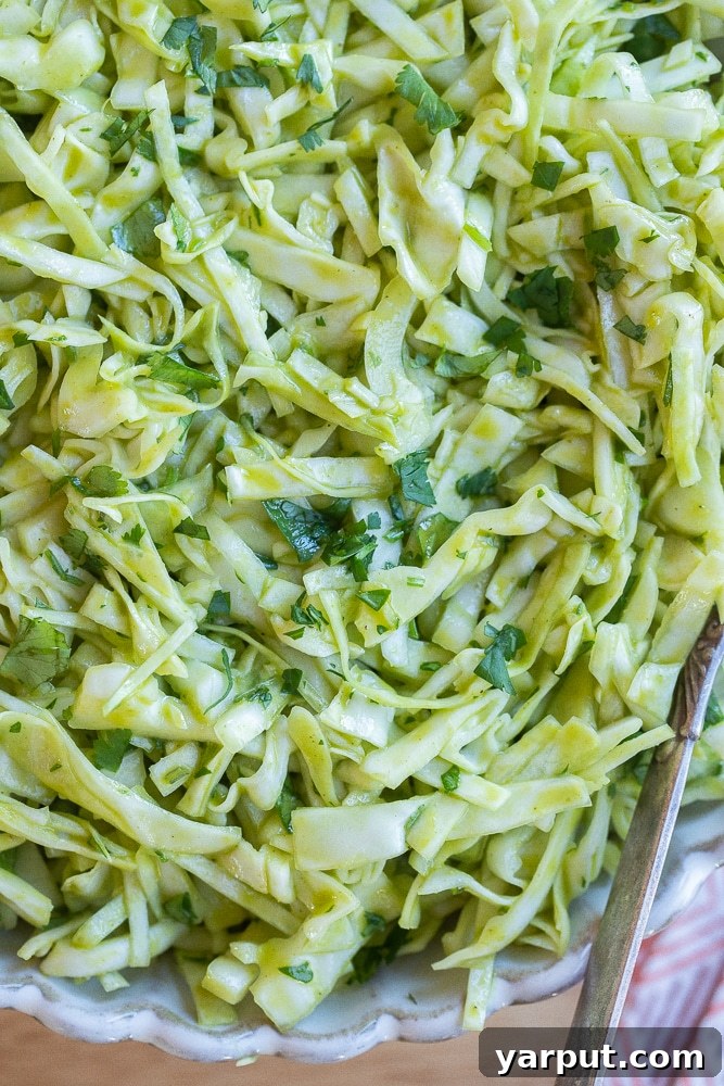 Zesty Cilantro-Lime Slaw 7 A close-up of a serving bowl filled with the vibrant and fresh Cilantro Lime Cabbage Salad.