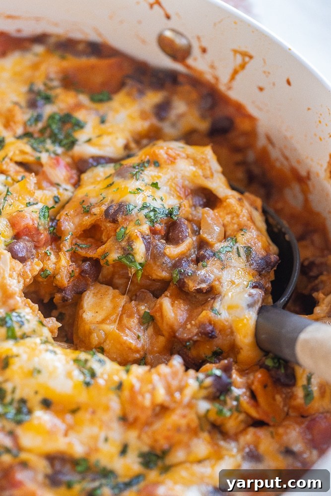 Hearty Tofu Black Bean Skillet Enchiladas 7 A serving spoon lifting a portion of the rich and flavorful tofu enchilada skillet from the pan.