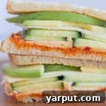 Hummus and Avocado Sandwich