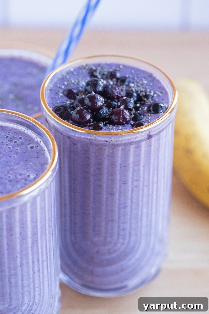 Blueberry Banana Bliss Smoothie 7 Three glasses of vibrant purple wild blueberry banana smoothies, artfully arranged and ready to be enjoyed.