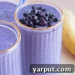 Wild Blueberry Banana Smoothie garnished with fresh blueberries and chia seeds.