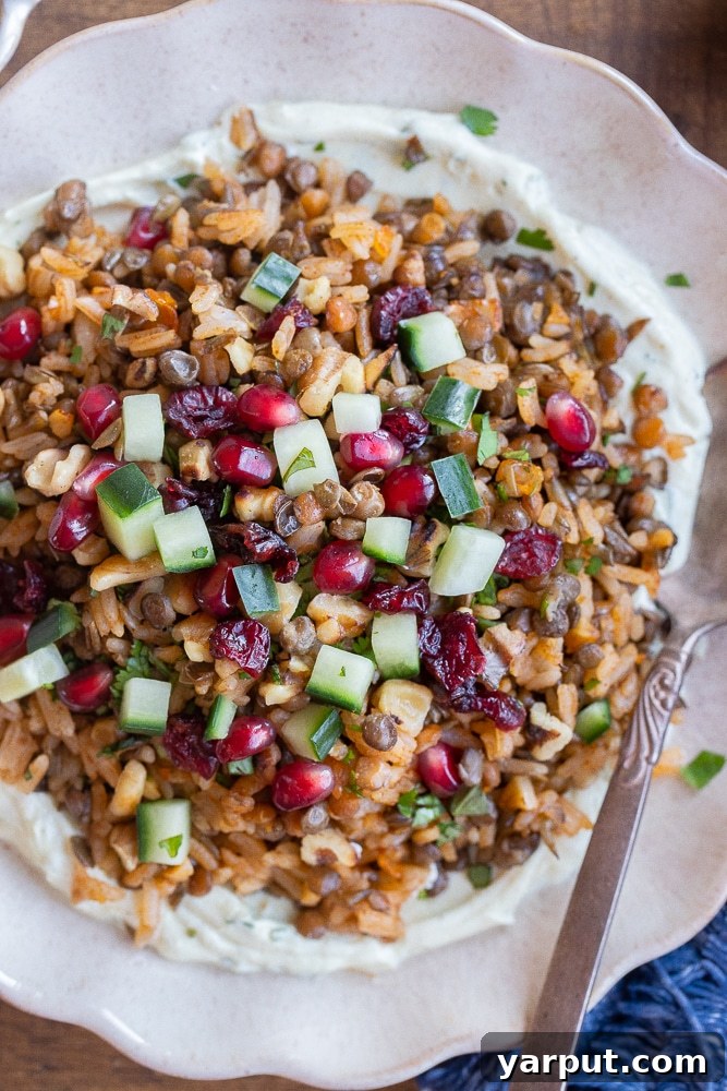 Spiced Lentils and Rice with Zesty Curry Yogurt 6 Close-up of a bowl of delicious lentils and rice, beautifully topped with fresh cucumber and ruby-red pomegranate seeds.