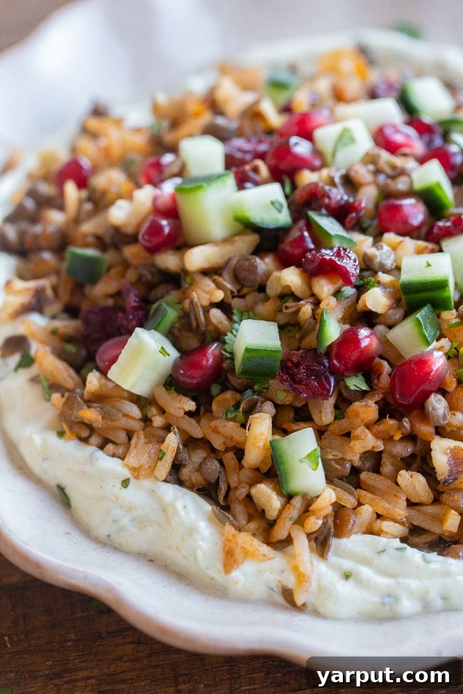 Spiced Lentils and Rice with Zesty Curry Yogurt 7 A close-up of a plate featuring perfectly seasoned lentils and rice, with a dollop of creamy curry yogurt sauce artistically spread at the base.