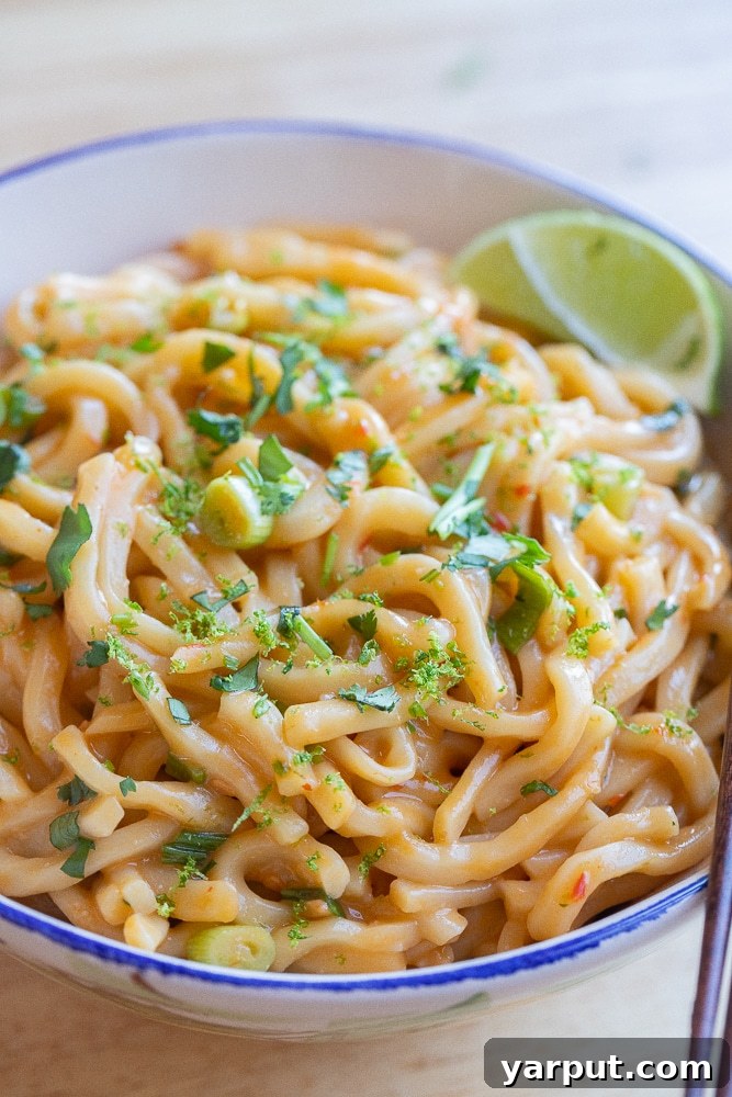 Close up of a bowl of vegetarian spicy coconut lime noodles, showing the rich sauce coating the noodles and the garnish of fresh green onions.