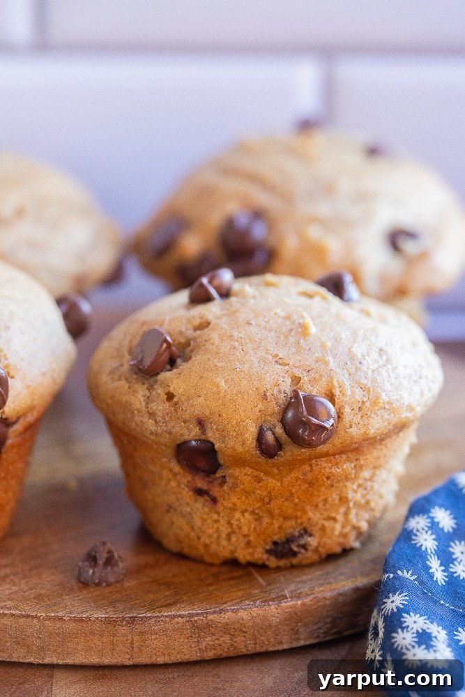 close up of a healthy chocolate chip muffin on a cutting board