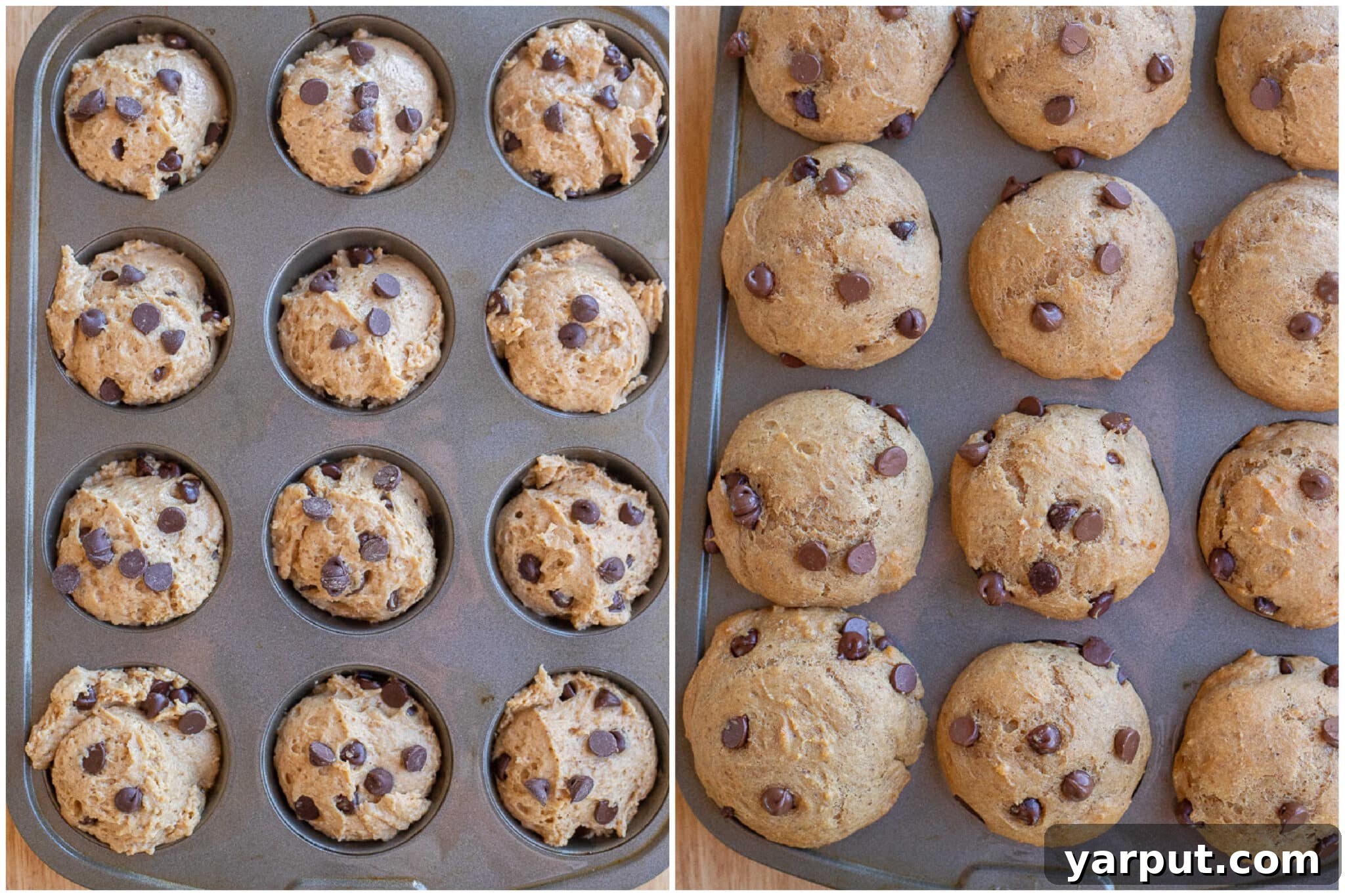 chocolate chip muffins before and after being baked