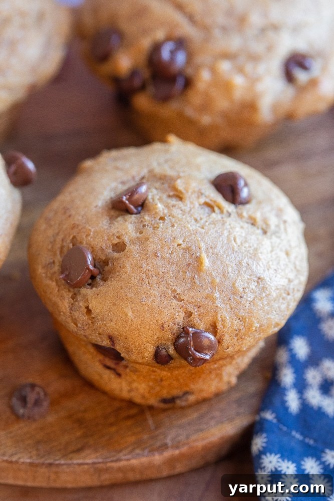close up of a healthy chocolate chip muffin