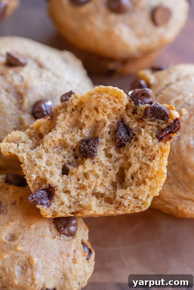 kid friendly chocolate chip muffin cut in half