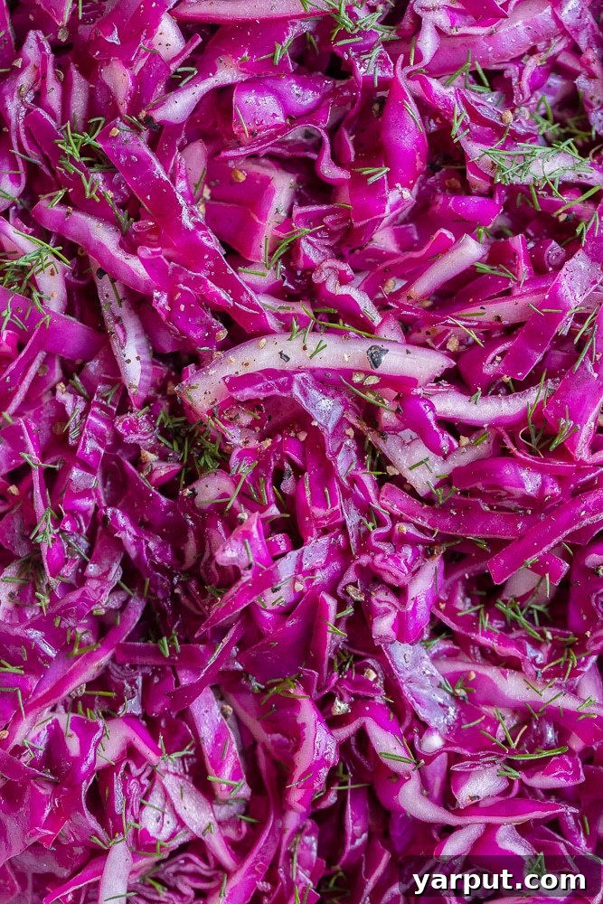 The finished purple cabbage salad in a serving bowl, garnished with fresh dill.