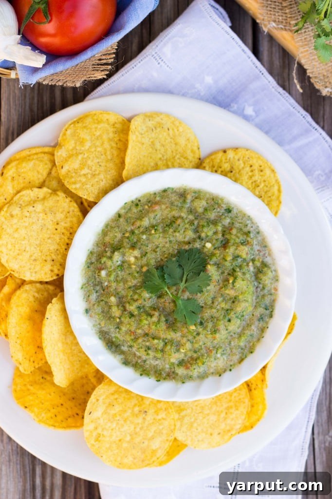 Oasis Salsa A Taste of Paradise 2 The Best Salsa Ever - Homemade Green Salsa