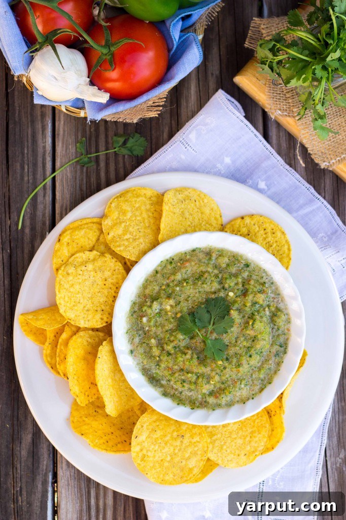 Oasis Salsa A Taste of Paradise 15 Serving Homemade Green Salsa