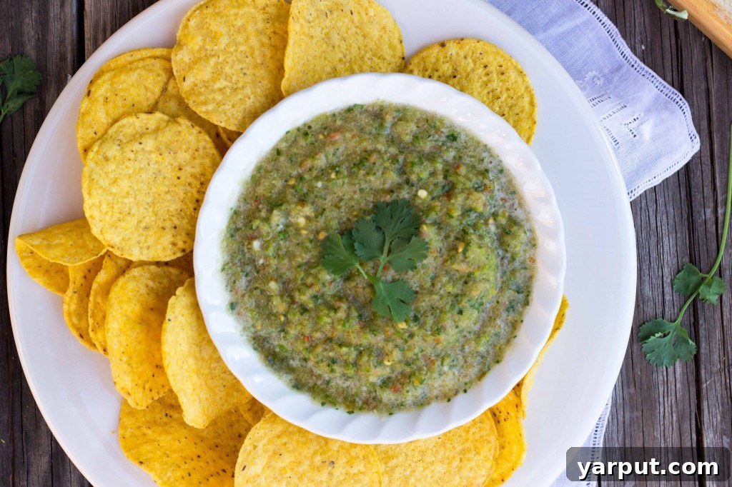 Oasis Salsa A Taste of Paradise 16 Fresh Green Salsa with Cilantro