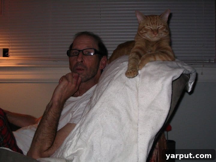 Oasis Salsa A Taste of Paradise 17 Dad and Mr. Feebers, the orange tabby cat