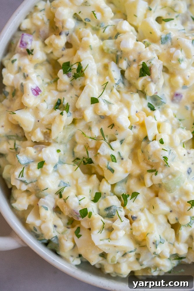 Protein-Packed Cottage Cheese Egg Salad 5 A serving bowl filled with a creamy high-protein cottage cheese egg salad, garnished generously with vibrant fresh herbs on top.